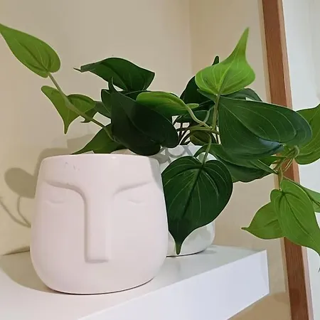 Peral Super Equipado 4 Santander