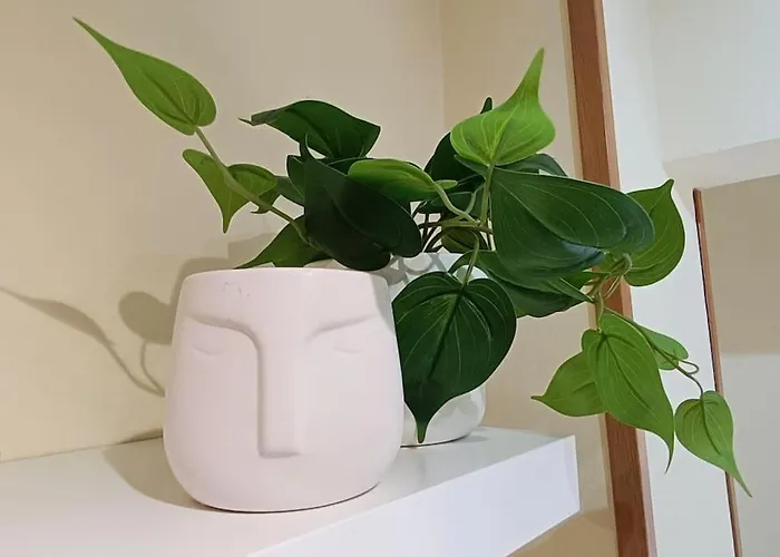 Peral Super Equipado 4 Santander